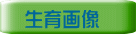 生育画像 