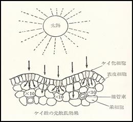 ダイアグラム, 概略図

自動的に生成された説明