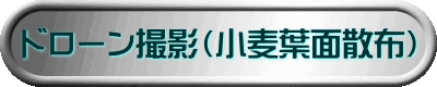 ドローン撮影（小麦葉面散布）