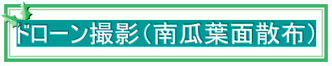 ドローン撮影(南瓜葉面散布)