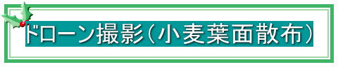 ドローン撮影(小麦葉面散布)